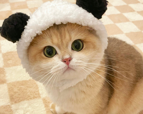 5c9879e9882b46eb2f2df1c77ce5f1