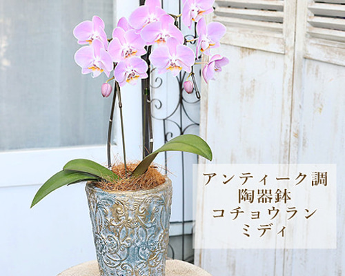 d60a90cfe595455246579acffb77ca