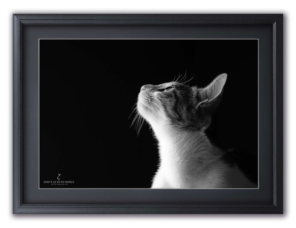 作品タイトル「理由」A3サイズ 写真作品 額付き