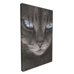 "Blue-eyed cat"　Contemporary art 第6張的照片