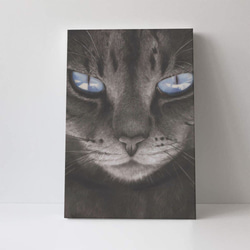 "Blue-eyed cat"　Contemporary art 第4張的照片