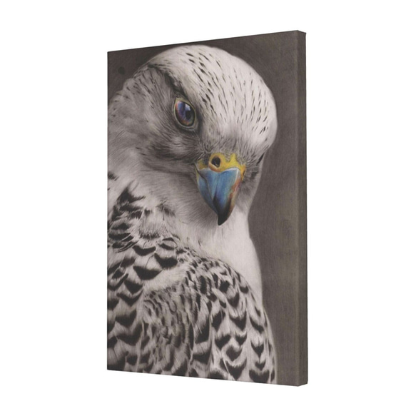 "Bald eagle"　Contemporary art 第5張的照片