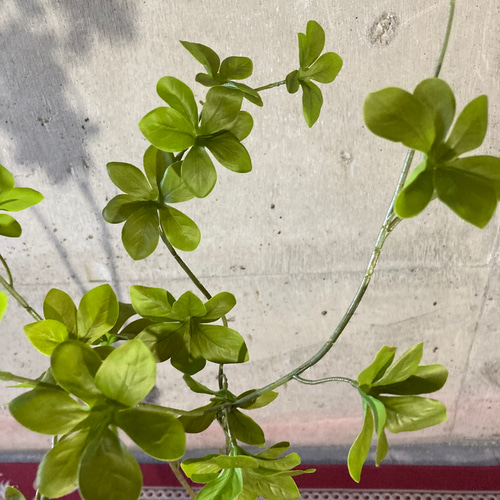 光触媒人工観葉植物ウォールグリーンフェイクフラワーハンドメイド　ドウダン花器付 光触媒 人工観葉植物 ウォールグリーン フェイクグリーン 花器付