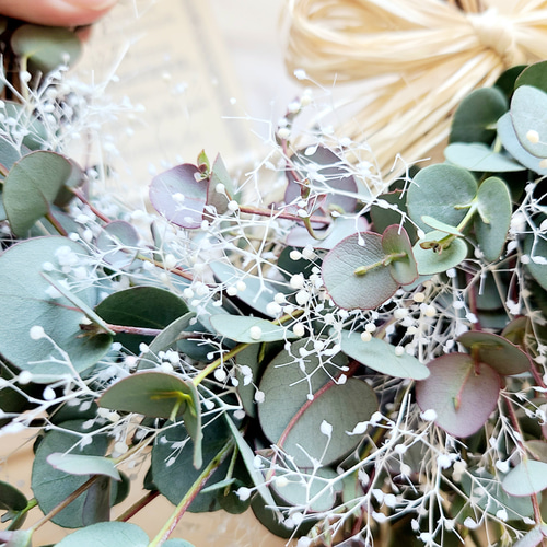 2タイプから選べる ユーカリのナチュラルリース ドライフラワー リース