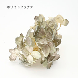 【 あじさい 小分け  】 ハーバリウム ボタニカル キャンドル少量  花材 レジン 材料 封入 素材 花素材 パーツ 2枚目の画像