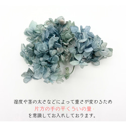 【 あじさい 小分け  】 ハーバリウム ボタニカル キャンドル少量  花材 レジン 材料 封入 素材 花素材 パーツ 6枚目の画像