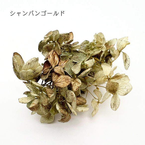 【 あじさい 小分け  】 ハーバリウム ボタニカル キャンドル少量  花材 レジン 材料 封入 素材 花素材 パーツ 5枚目の画像