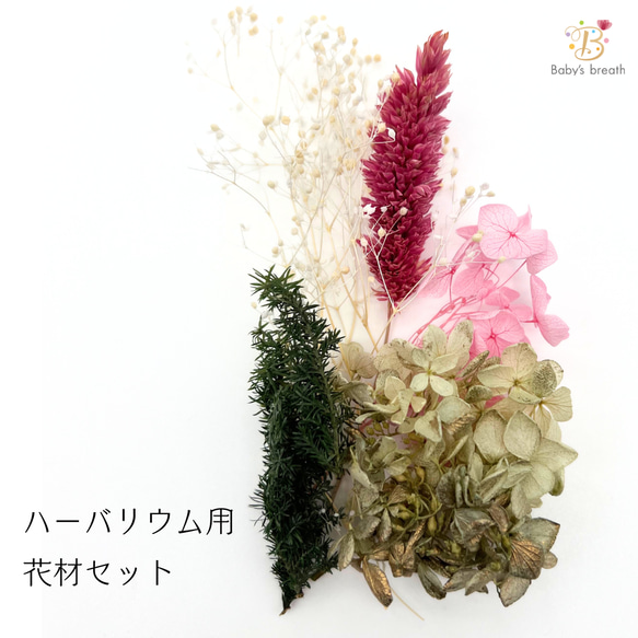 【 ハーバリウム 花材セット 】  ボタニカル キャンドル 少量  花材 レジン 材料 封入 素材 花素材 パーツ 1枚目の画像