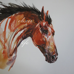 春へ駈ける馬（水彩画用紙３５ｃｍ×２４ｃｍ、墨、水彩） 2枚目の画像