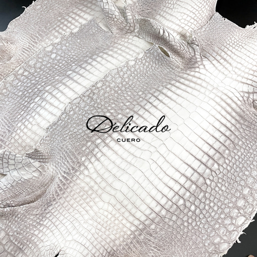 ヒマラヤ クロコダイル カードケース 名刺入れ 名刺入れ・カードケース