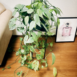 0dff4b73dc6a20ece01a0e7c6b2f42