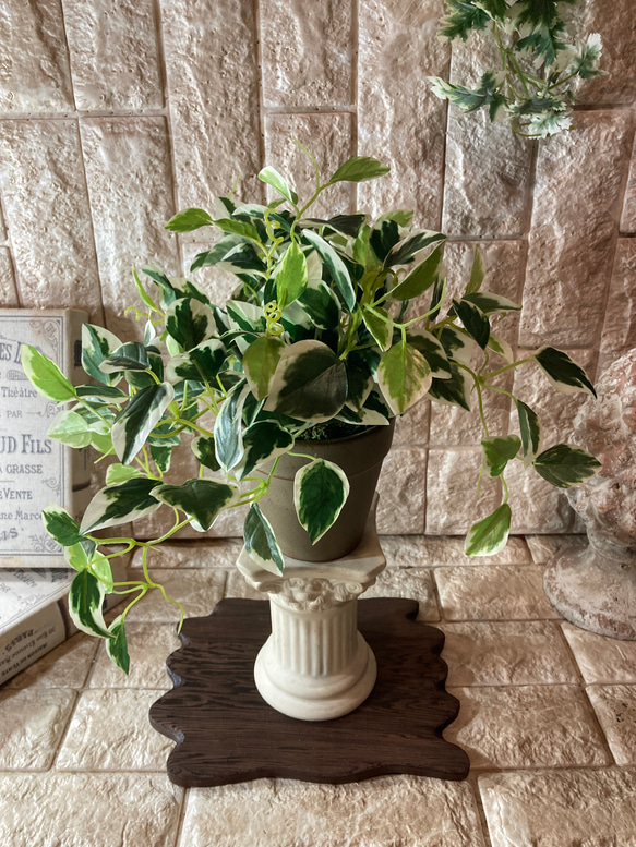 光触媒　人工観葉植物　ウォールグリーン　フェイクグリーン　アイビーとペペロミア 7枚目の画像