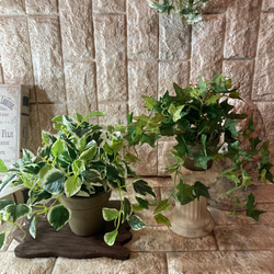 光触媒　人工観葉植物　ウォールグリーン　フェイクグリーン　アイビーとペペロミア 4枚目の画像