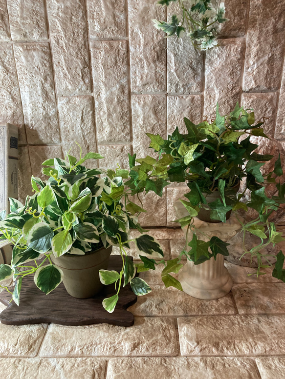 光触媒　人工観葉植物　ウォールグリーン　フェイクグリーン　アイビーとペペロミア 3枚目の画像