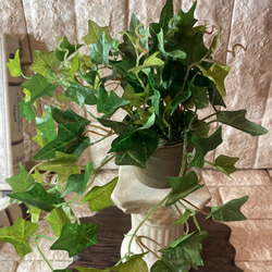 光触媒　人工観葉植物　ウォールグリーン　フェイクグリーン　アイビーとペペロミア 5枚目の画像