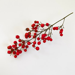 南天の実 花材 ドライフラワー 1本 その他素材 まよなかの小さな花屋ー