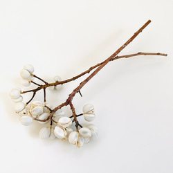 ナンキンハゼ ドライフラワー 花材 2本セット その他素材 まよなかの