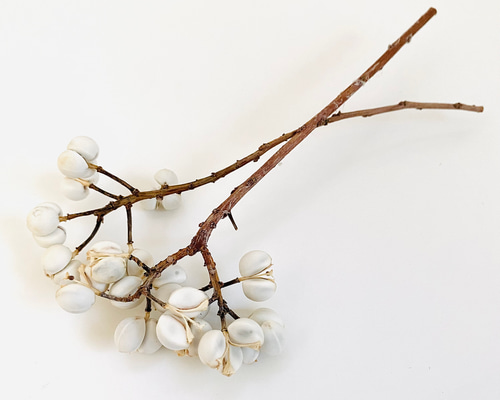 c2eb1a3fdf761c96337a873c1acb5f