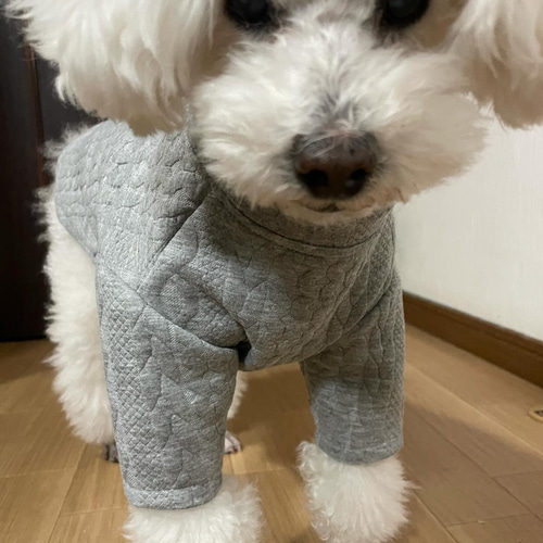 ⑮確認用ページリブアラン風ニット犬服ハンドメイド