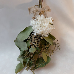 ユーカリポポラスベリー　アナベルのスワッグ　現品のみ 2枚目の画像