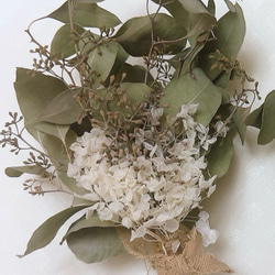 ユーカリポポラスベリー　アナベルのスワッグ　現品のみ 1枚目の画像