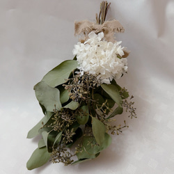 ユーカリポポラスベリー　アナベルのスワッグ　現品のみ 7枚目の画像