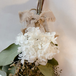 ユーカリポポラスベリー　アナベルのスワッグ　現品のみ 3枚目の画像