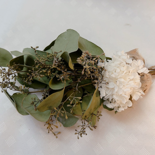 アナベルとユーカリドライフラワー(ポポラスとシルバーダラー)スワッグや花材にも ドライフラワー スワッグ ユーカリポポラス カスミソウと