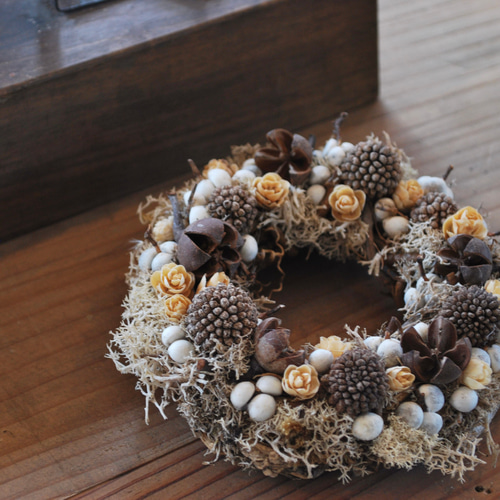 Donut wreath 4種の木の実/ドライミニリース ドライフラワー “ W 