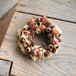 ten.：donut.wreath 12 月桃の実とアンバー/ドライミニリース 2枚目の画像