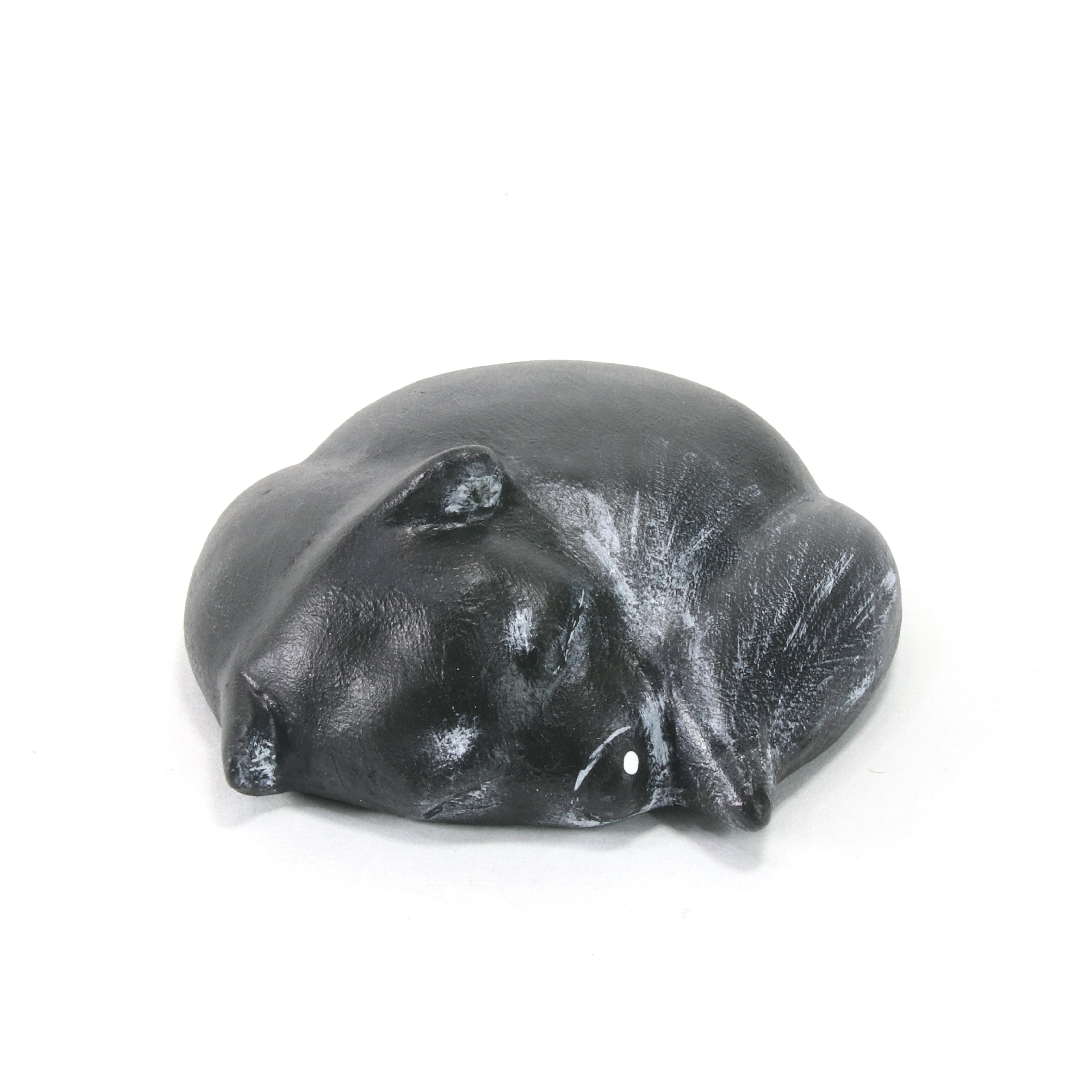 ワンモナイト　丸くなって眠る犬