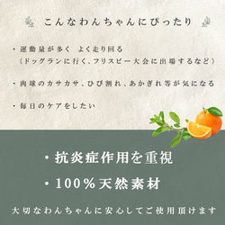 【数量限定・お試し価格】＊宅配便限定＊ 運動量の多いワンちゃん用 肉球クリーム 15g 5枚目の画像