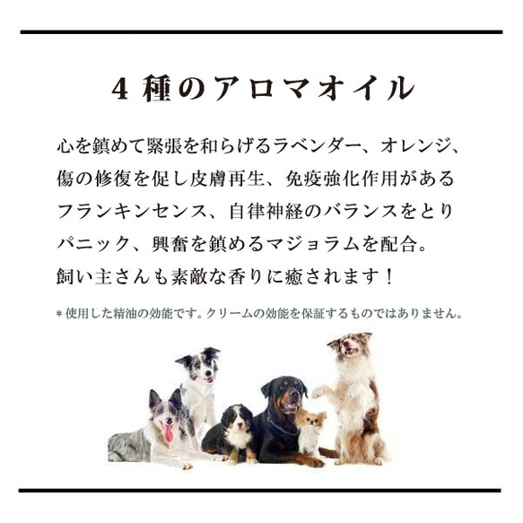 【数量限定・お試し価格】＊宅配便限定＊ 運動量の多いワンちゃん用 肉球クリーム 15g 4枚目の画像