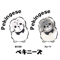 【受注生産】プルオーバーパーカー　付け襟シリーズ　コーギー、パグ、柴犬、ペキニーズ 4枚目の画像