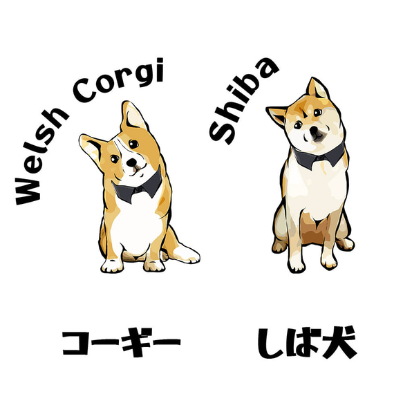 【受注生産】付け襟シリーズTシャツ コーギー　パグ　ペキニーズ　柴犬　チワワ　シーズー他 2枚目の画像