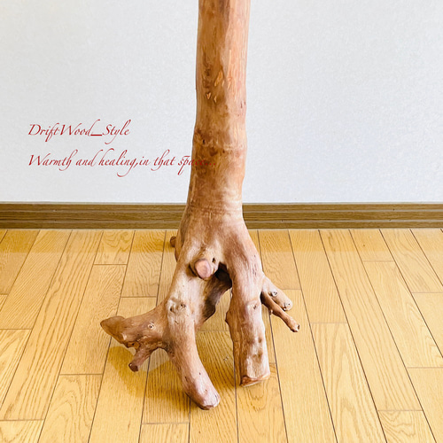 流木インテリア 木の根が映える超大型の流木スタンド N20 ※店頭販売