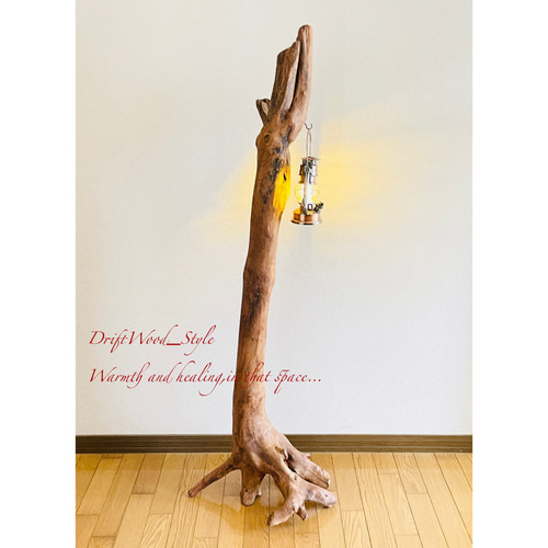 流木インテリア 木の根が映える超大型の流木スタンド N20 ※店頭販売