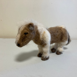 羊毛フェルト 羊毛フェルト ポニー 羊毛フェルト kanken 通販 17061975