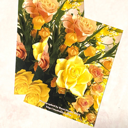 Y様オーダー品：orange & yellow rose postcard　95枚まとめ買い 1枚目の画像