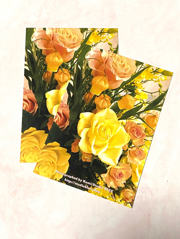 Y様オーダー品：orange & yellow rose postcard　95枚まとめ買い 1枚目の画像