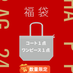 2024HAPPY BAG 新春福袋　大人気のコート１点とワンピース１点　14900円 1枚目の画像