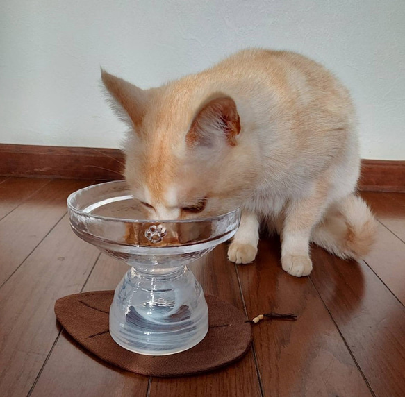 猫好きによる猫のための器　【猫ごはん】フードボウル　LOWタイプ  ホワイト 4枚目の画像