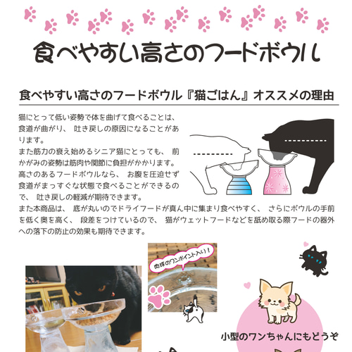 【なつ】猫ごはん　LOWタイプ　ピンク&ブルーセットフードボウル 猫好きによる猫のための器 【猫ごはん】フードボウル LOWタイプ