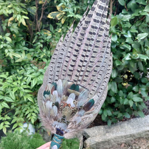 スマッジング　スマッジファン　ワンド スマッジングフェザーワンド / Smudge Feather Fan その他インテリア