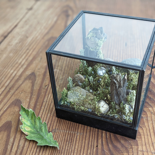 忘れ去られた町」/ドライフラワー/アンモナイト/オブジェ/ガラスケース