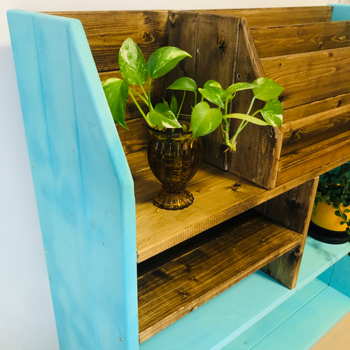 緑が映える絵本棚　本棚　ブックシェルフ　無垢材 緑が映える絵本棚 本棚 ブックシェルフ 無垢材