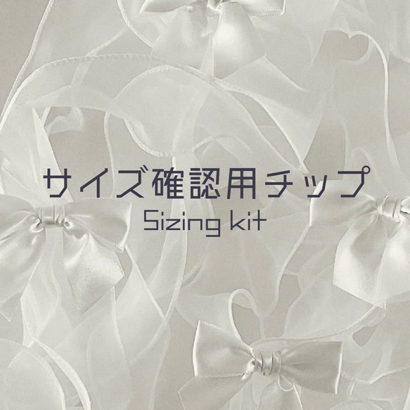 サイズ確認用チップ 1枚目の画像
