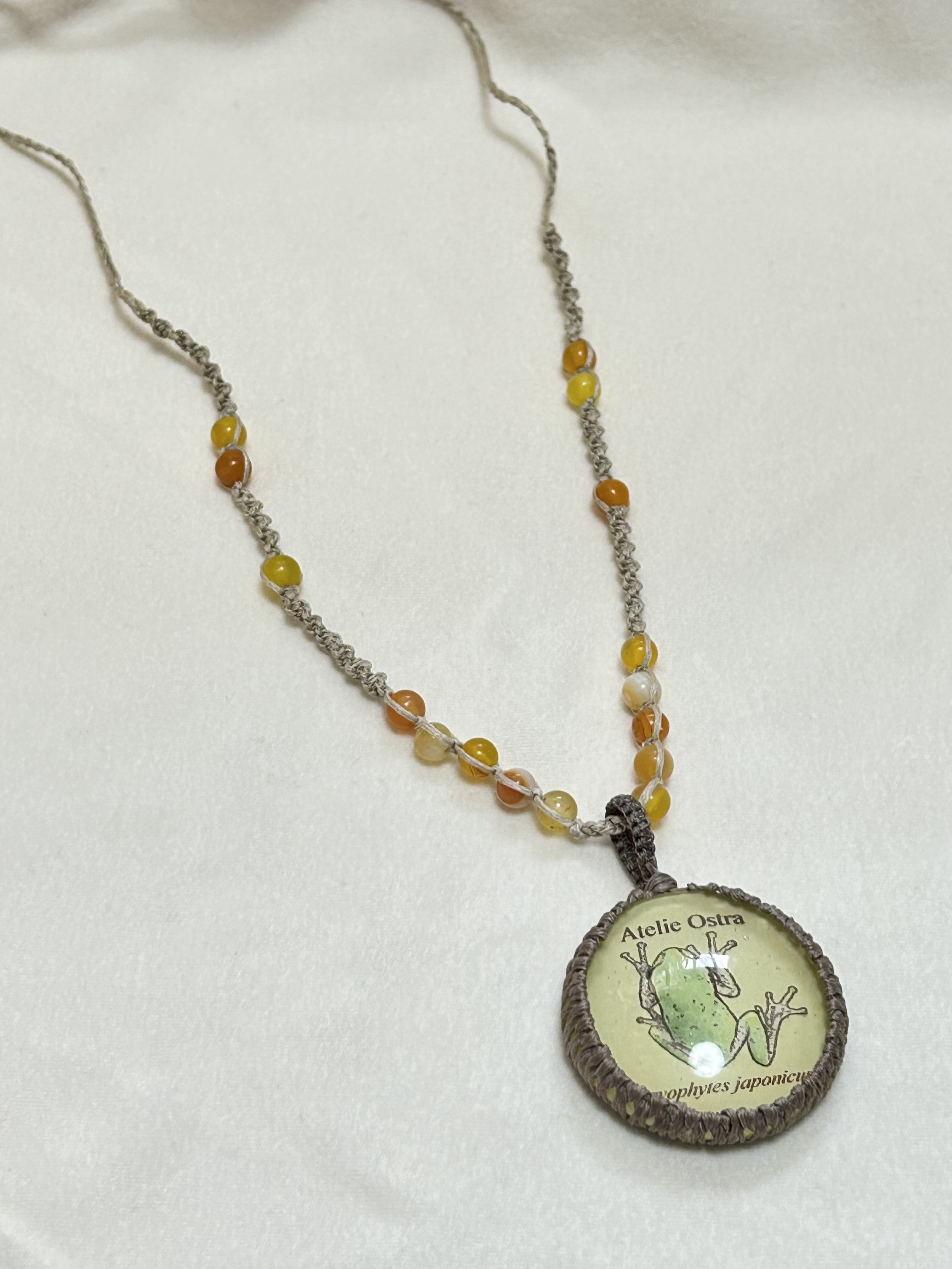 ニホンアマガエル博物画のマクラメペンダント（ベージュ）