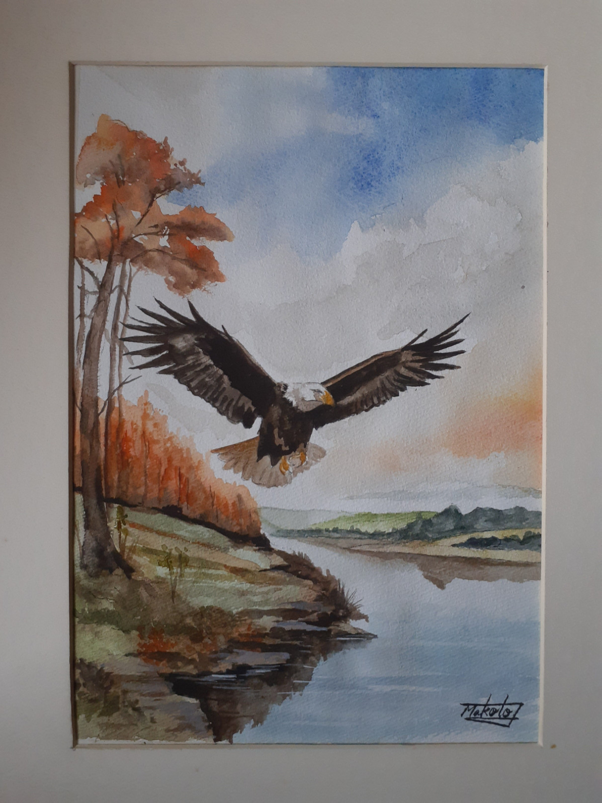 水彩画 白頭鷲が飛ぶ！ 絵画 makochin 通販 17066793｜Creema