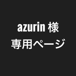 azurin様専用ページ 2枚目の画像